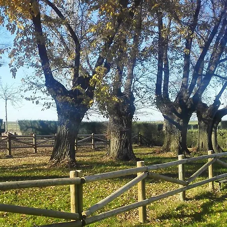 Rural Gran Maestre 酒店 卡韦萨德尔布埃